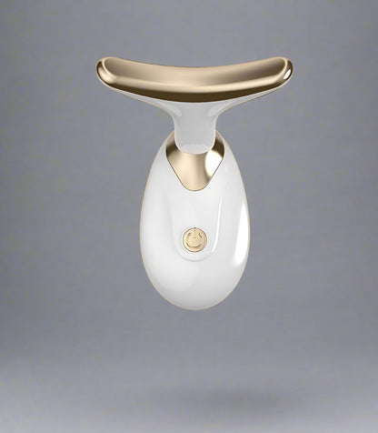 dolphin design face massager