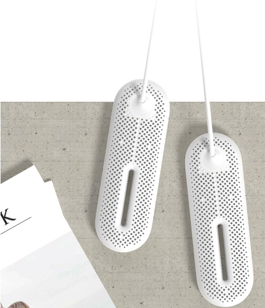 portable shoe drying device