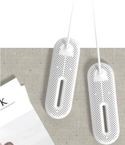 portable shoe drying device